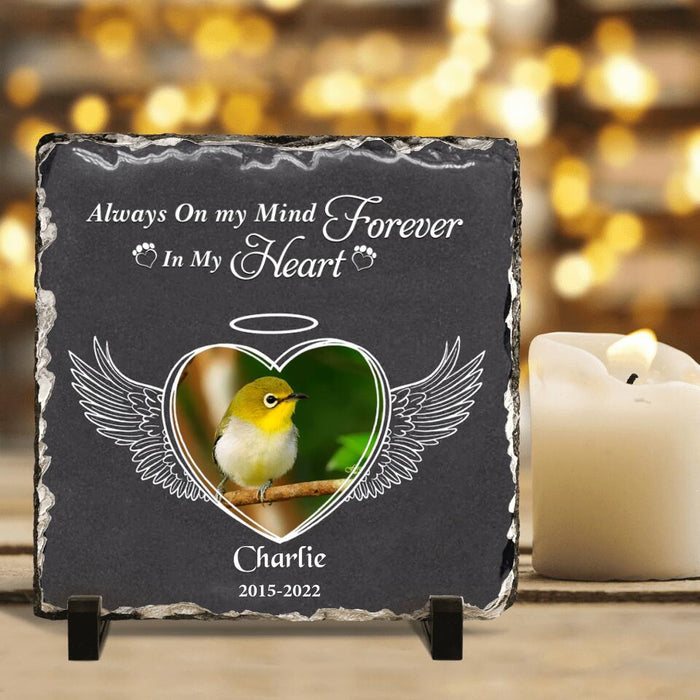 Custom Personalized Memorial Bird Square Lithograph - Gift Idea For Bird Lovers - Always On My Mind Forever In My Heart