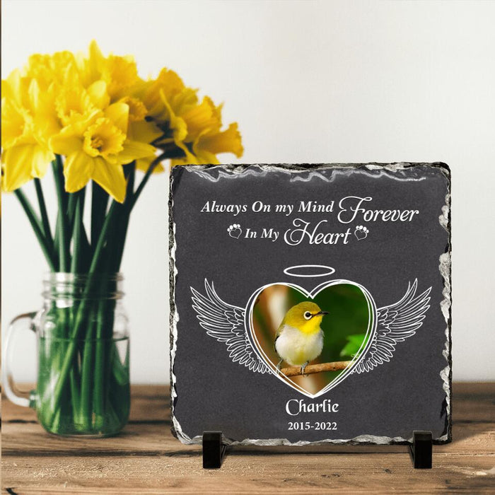 Custom Personalized Memorial Bird Square Lithograph - Gift Idea For Bird Lovers - Always On My Mind Forever In My Heart