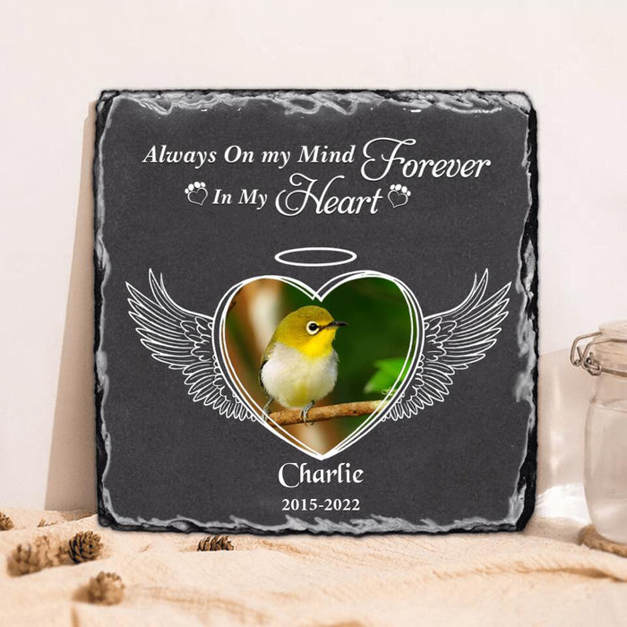 Custom Personalized Memorial Bird Square Lithograph - Gift Idea For Bird Lovers - Always On My Mind Forever In My Heart