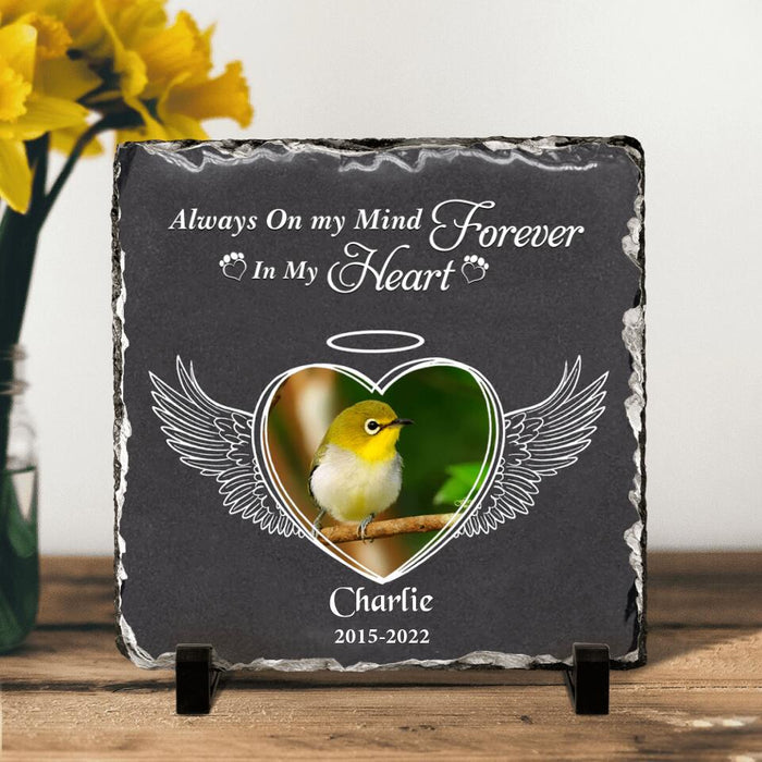 Custom Personalized Memorial Bird Square Lithograph - Gift Idea For Bird Lovers - Always On My Mind Forever In My Heart