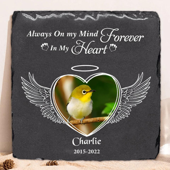 Custom Personalized Memorial Bird Square Lithograph - Gift Idea For Bird Lovers - Always On My Mind Forever In My Heart