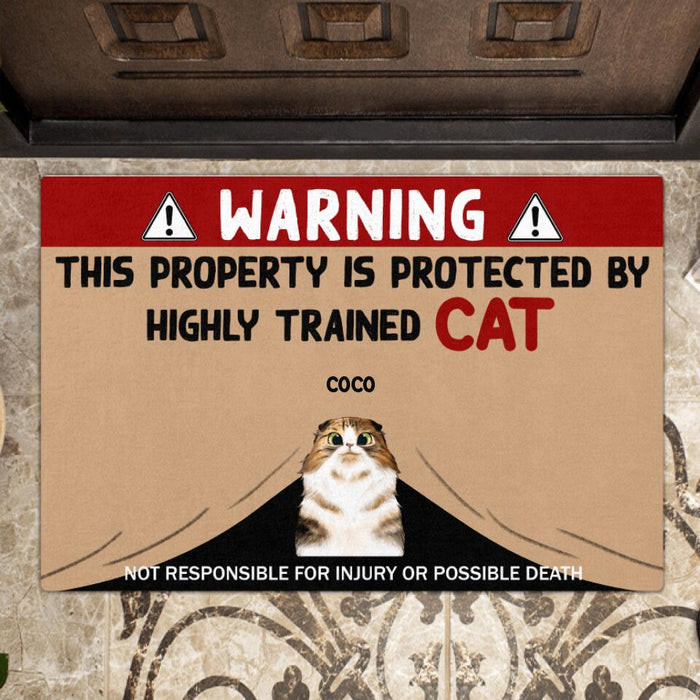 Personalized Cat Doormat - Up to 4 Cats - This Property is Protected by Highly Trained Cat