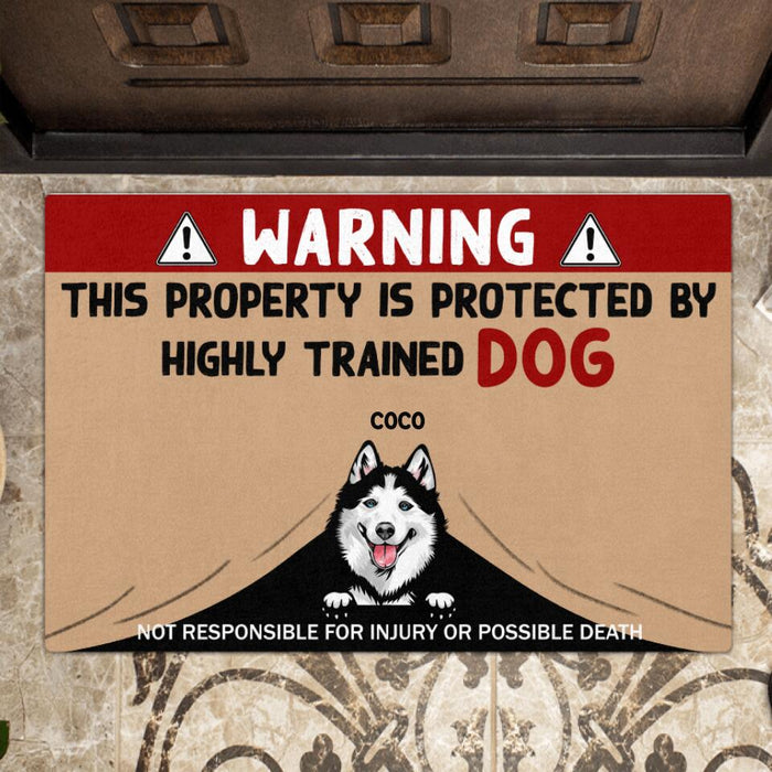 Personalized Dog Doormat - Gift For Dog Lovers with up to 4 Dogs - This property is protected by highly trained dog