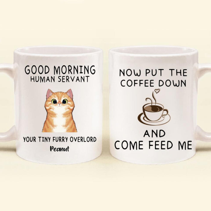 Custom Personalized Human Servant Cat Coffee Mug - Upto 6 Cats/Dogs - Best Gift For Cat Lover - Now Put The Coffee Down And Come Feed Us