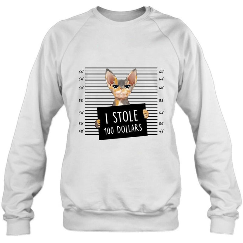 Personalized Bad Cat Shirt/Pullover Hoodie - Up to 2 Cats - Gift Idea For Cat Lover - Yes, We're Aware Of How Obnoxious