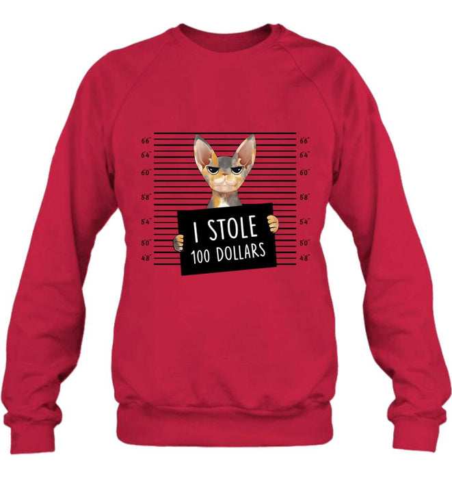 Custom Personalized Bad Cat Shirt/ Pullover Hoodie - Upto 2 Cats - Gift Idea For Cat Lover - Yes, We're Aware Of How Obnoxious