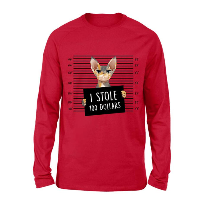 Custom Personalized Bad Cat Shirt/ Pullover Hoodie - Upto 2 Cats - Gift Idea For Cat Lover - Yes, We're Aware Of How Obnoxious