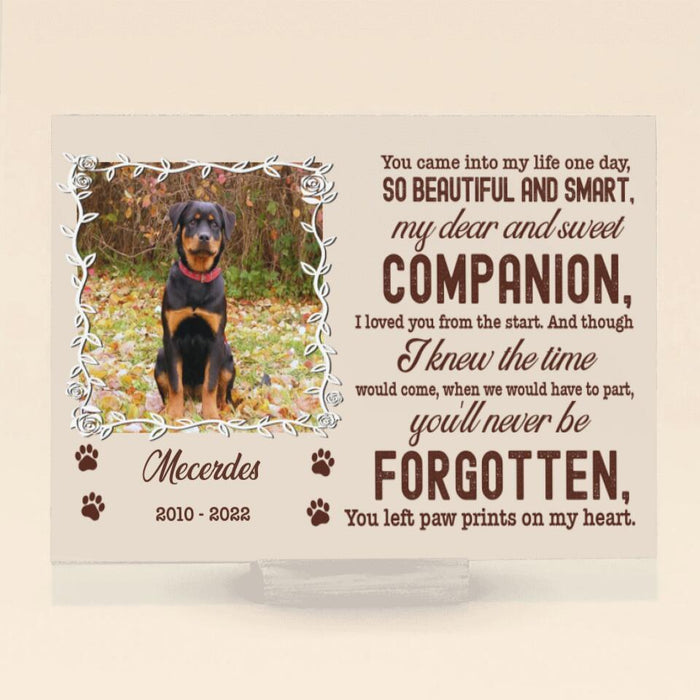 Personalized Custom Photo Pet Loss Acrylic Plaque -  Memorial Gift Idea For Pet Lover - Paw Prints On My Heart