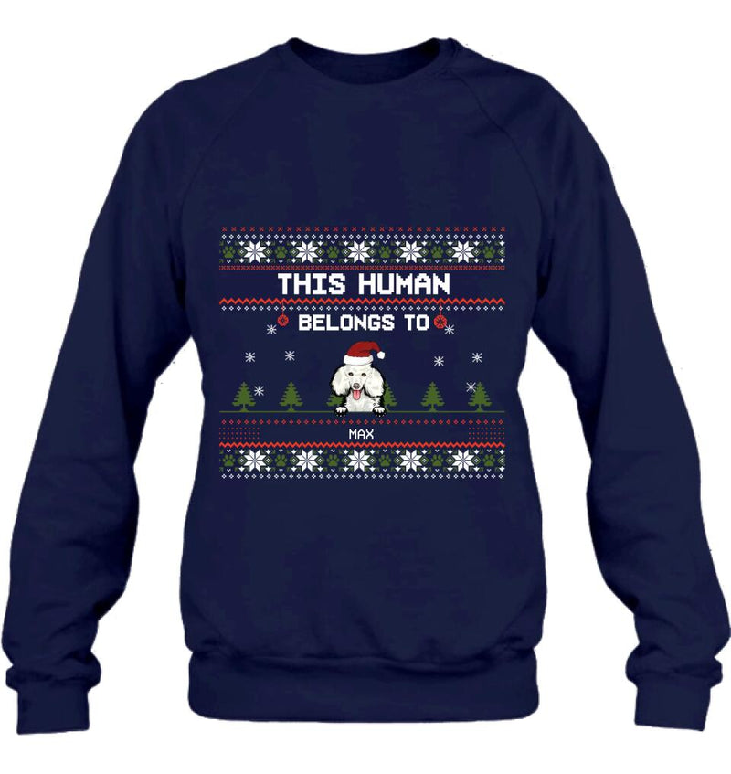 Personalized Dog Mom T-shirt/Long Sleeve/Sweatshirt/Hoodie - Up to 5 Dogs - Christmas Gift For Dog Lover - This Human Belongs To