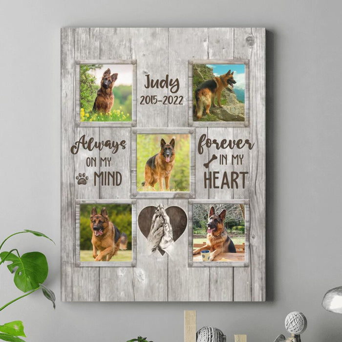 Custom Personalized Memorial Pet Canvas - Upload 5 Photos - Memorial Gift For Dog Lover - Always On My Mind Forever In My Heart