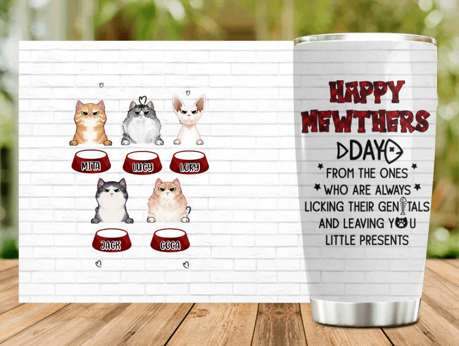 Custom Personalized Cats Tumbler - Upto 5 Cats - Best Gift Idea For Cat Lovers - Happy Mewthers Day