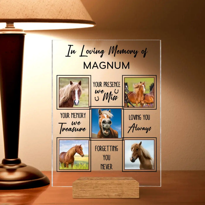 Custom Personalized Memorial Acrylic Plaque - Upload Horse Photo - Memorial Gift Idea - We Miss Your Memory