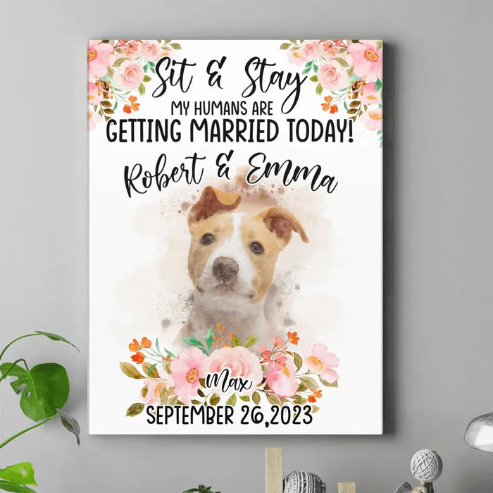 Custom Personalized Dog Wedding Canvas - Upload Photo - Wedding Gift Idea For Couple/ Dog Lover - Sit & Stay My Humans Are Getting Married Today!