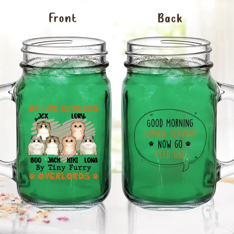 Personalized Cats Mason Jug - Up to 3 Cats - Best Gift Idea For Cat Lovers - Good Morning Human Servant Now Go Feed Us!
