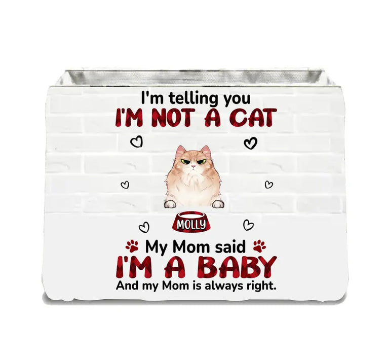 Personalized I'm Not A Cat Storage Box - Up to 10 Dogs/Cats - Gift Idea for Pet Lovers - My Mom Said I'm A Baby
