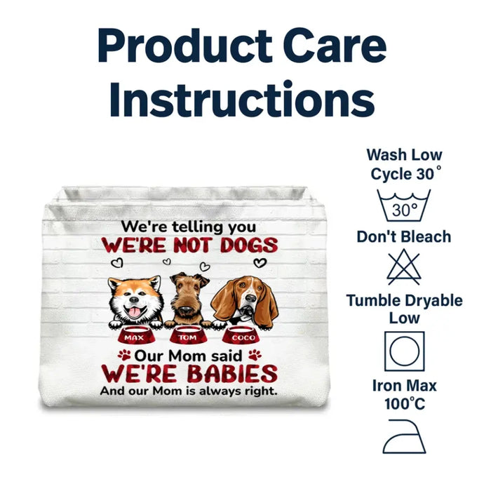 Personalized Pets Storage Box - Up to 4 Dogs/Cats - Gift Idea for Pet Lovers - Our Mom Said Were Babies