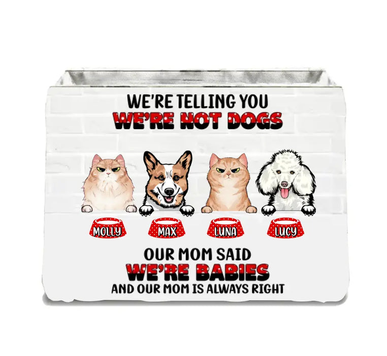 Personalized Pets Storage Box - Up to 4 Dogs/Cats - Gift Idea for Pet Lovers - Our Mom Said Were Babies