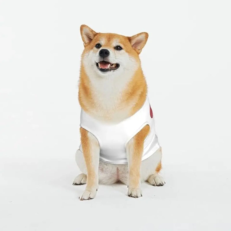 Personalized Funny Dog AOP Big Dog's Tank Top - Upload Photo - Gift Idea For Your Dog - I Will Just Keep Staring At You Until You Do The Thing I Want