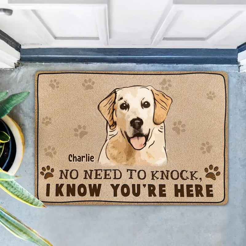 Personalized Welcome Doormat - Upload Pet's Photos - Gift Idea For Dog Lover - No Need To Knock We Know You're Here