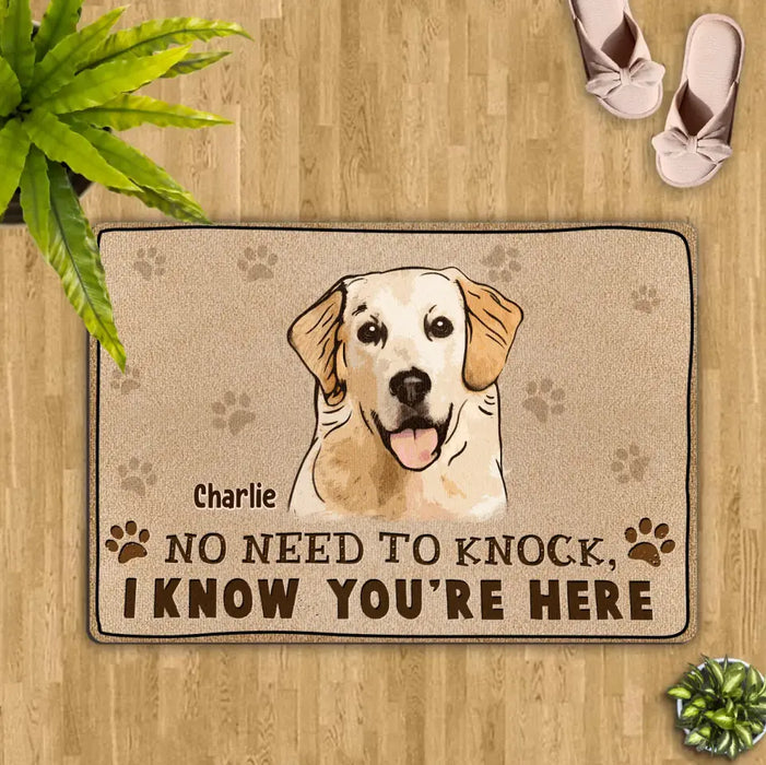 Custom Personalized Welcome Doormat - Upload Pet's Photos - Gift Idea For Dog Lover - No Need To Knock We Know You're Here