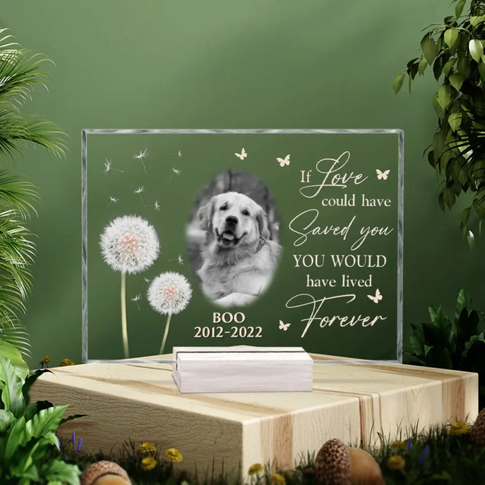 Custom Personalized Memorial Pet Photo Acrylic Plaque - Memorial Gift For Pet Owners - If Love Could Have Saved You You Would Have Lived Forever