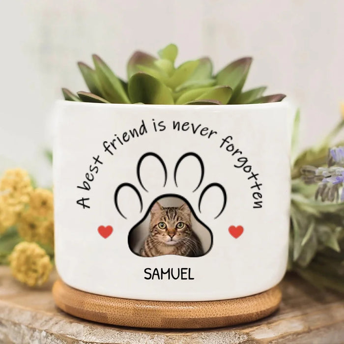 Personalized Memorial Plant Pot - Gift Idea For Gardening Lovers/ Dog Lovers/ Cat Lovers - Upload Dog/ Cat Photo - A Best Friend Is Never Forgotten