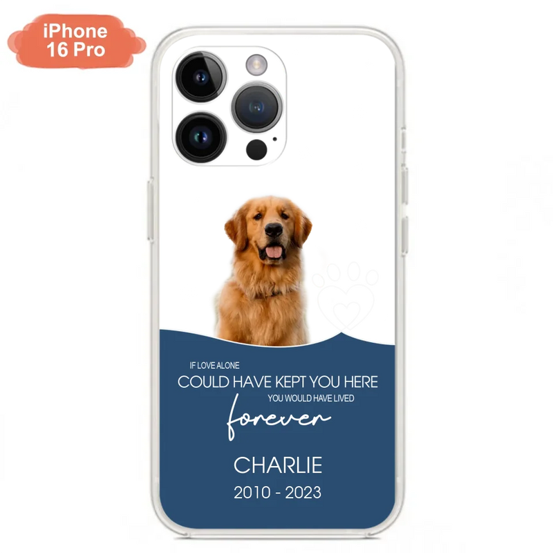 16 pro