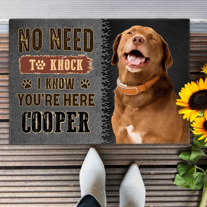 Personalized Dog Doormat - Gift Idea For Dog Lover - No Need To Knock I Know You're Here