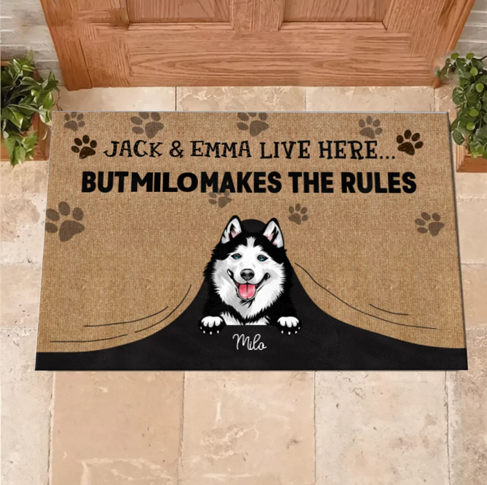 Personalized Dog Doormat - Gift Idea For Dog Lover - Up to 7 Dogs