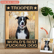 2 dog