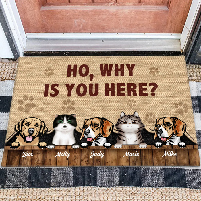 Personalized Pets Lover Doormat - Up to 5 Pets - Best Gift For Dog Lover/Cat Lover