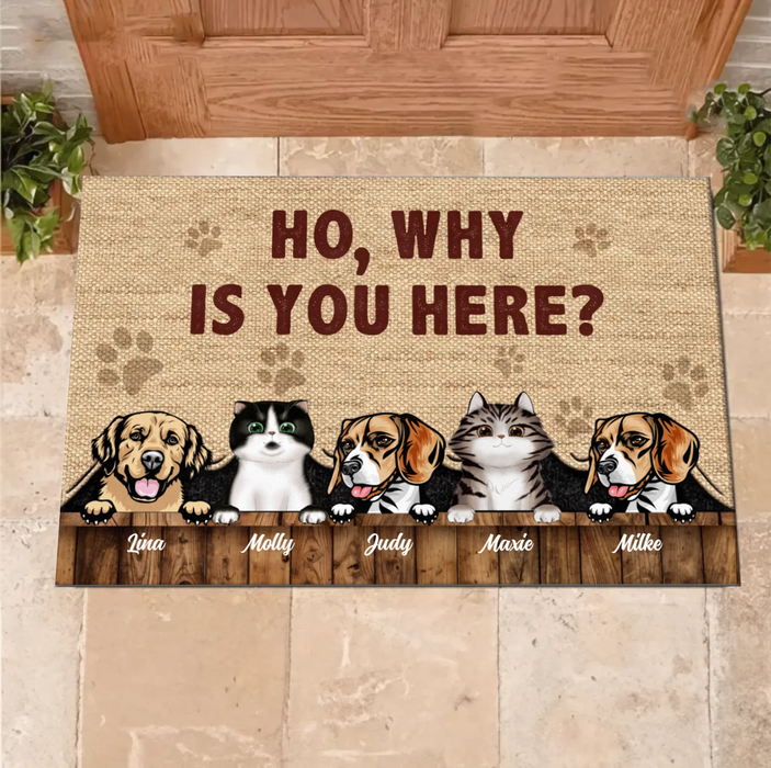 Personalized Pets Lover Doormat - Up to 5 Pets - Best Gift For Dog Lover/Cat Lover