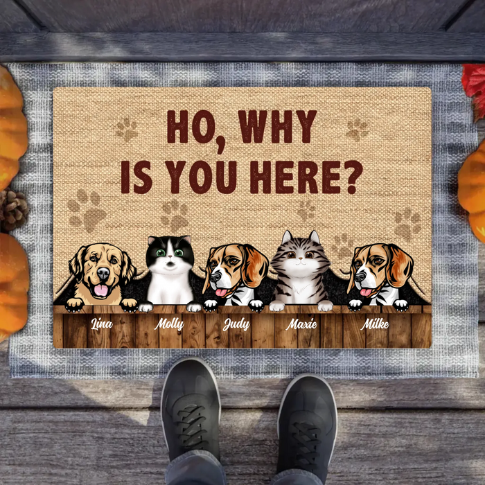 Personalized Pets Lover Doormat - Up to 5 Pets - Best Gift For Dog Lover/Cat Lover