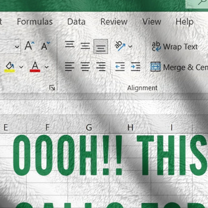 Funny Office Fleece Throw Blanket/ Quilt Blanket - Gift Idea for Co-workers - Oooh!! This Calls for a Spreadsheet