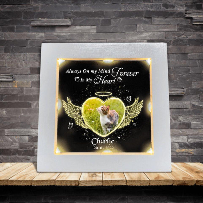 Custom Personalized Photo Pet Memorial Frame With Led - Memorial Gift For Pet Lovers/Pet Owners - Always On My Mind Forever In My Heart